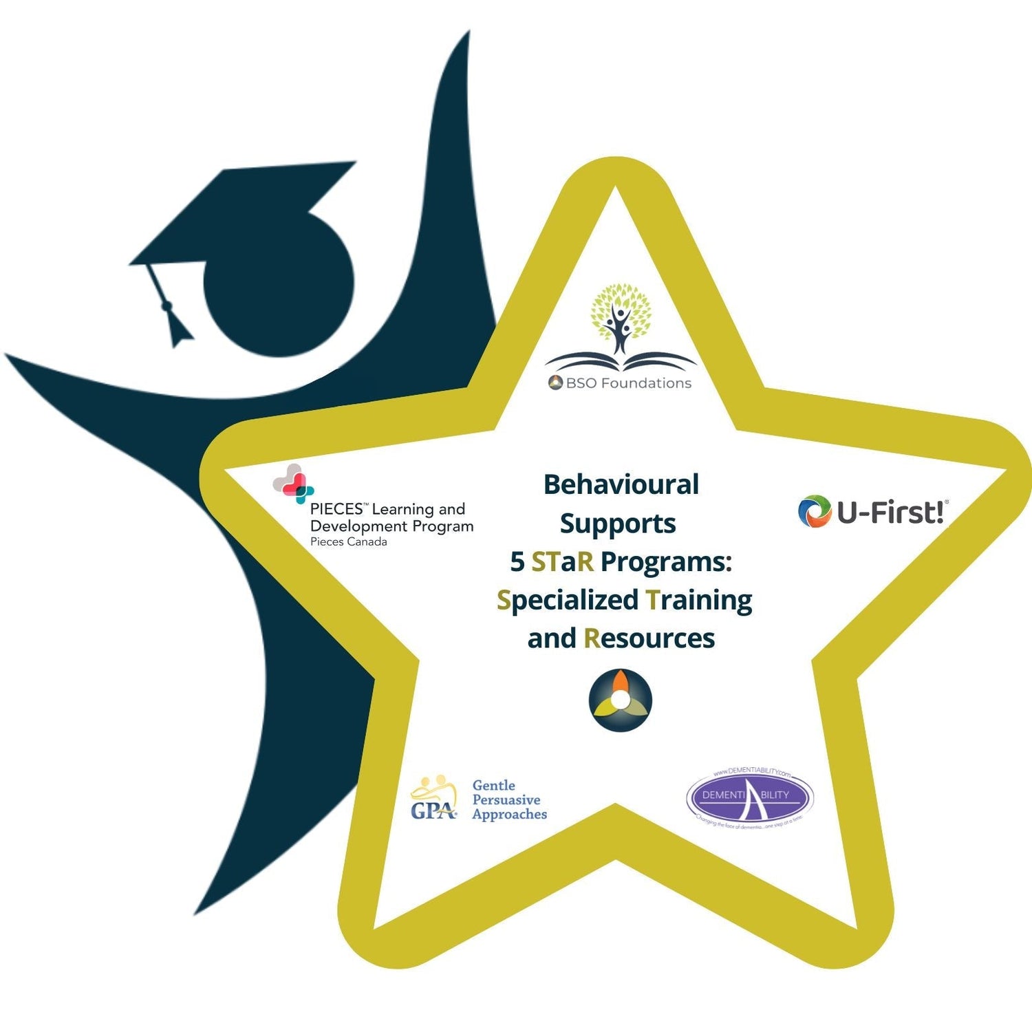 BSO 5 STaR: Specialized Training and Resources Infographic